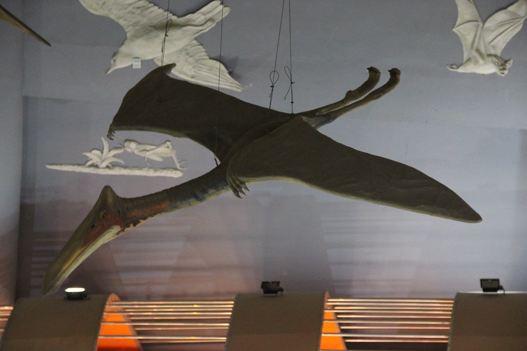 Future Discoveries: What Might We Find Next? (image credits: flickr)