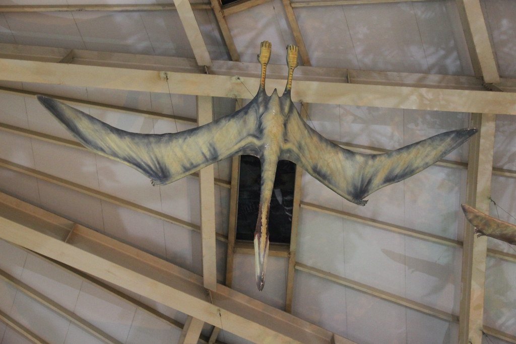 Conclusion: Lessons from the Ancient Skies (image credits: flickr)