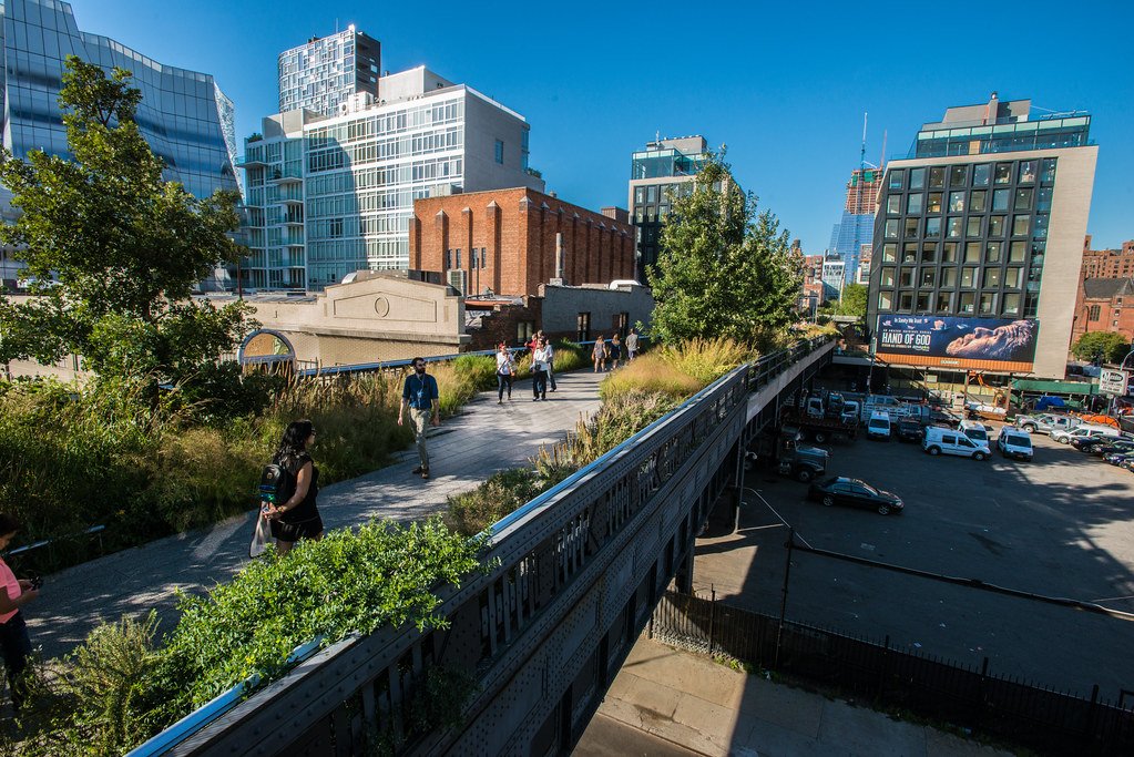 The Future of Urban Wildlife Corridors (image credits: flickr)