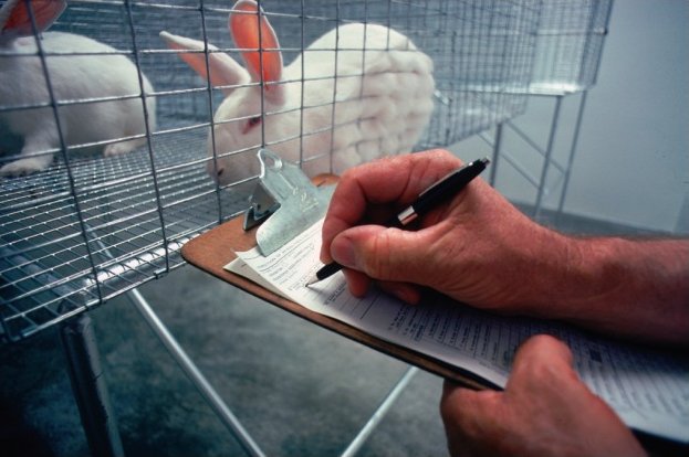 The Future of Cross-Species Research (image credits: By usda, Public domain, https://commons.wikimedia.org/w/index.php?curid=18962029)