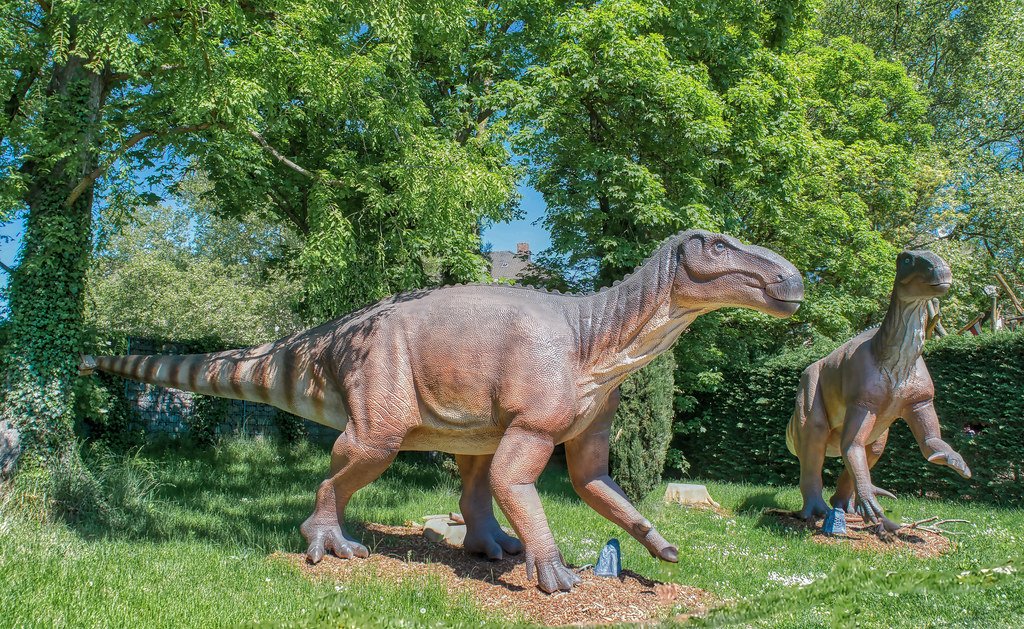 The Metabolism Problem (image credits: flickr)