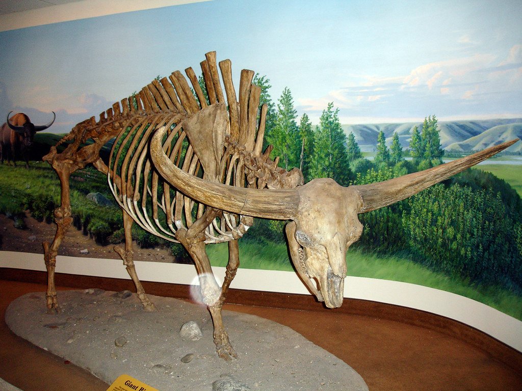 The Great Extinction and Size Limits (image credits: flickr)