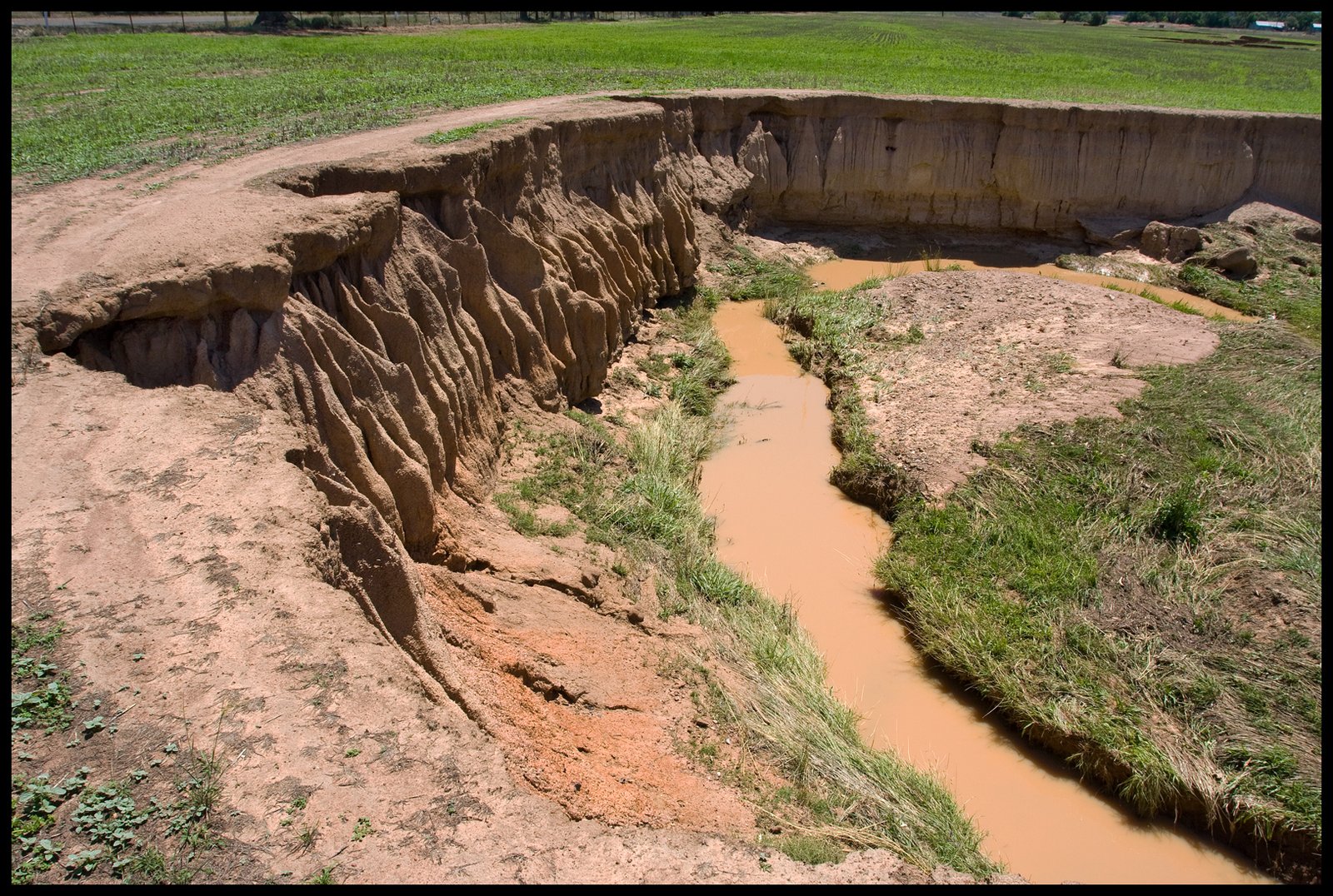 Agricultural Pressure and Soil Degradation (image credits: wikimedia)