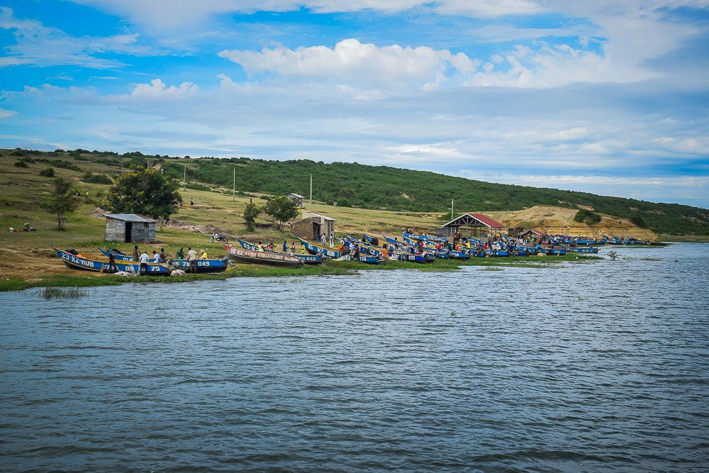 Conclusion: A Planet in the Balance (image credits: wikimedia)