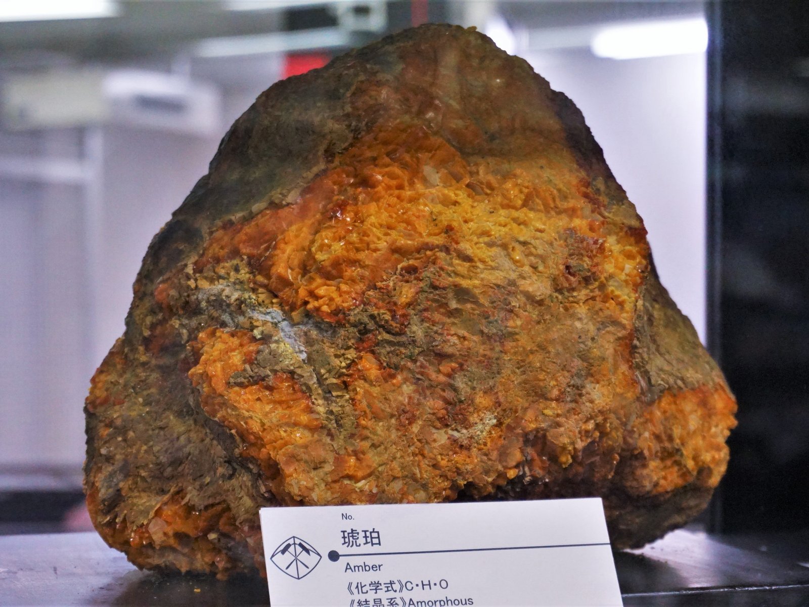How Amber Preservation Reveals Ancient Secrets (image credits: wikimedia)