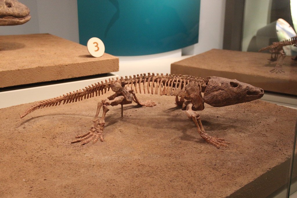 Future Research Directions (image credits: flickr)