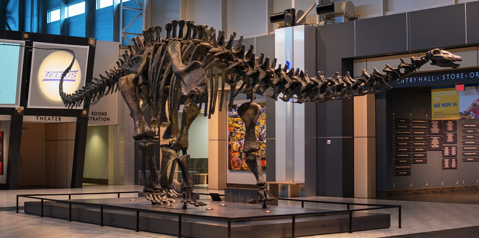 Brontosaurus: The Dinosaur That Never Existed (image credits: By Rob DiCaterino, CC BY 2.0, https://commons.wikimedia.org/w/index.php?curid=47044512)