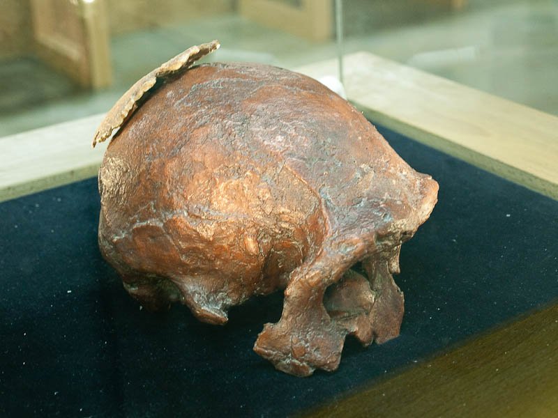 Orce Man: The Skull That Wasn't Human (image credits: By Luis Daniel Carbia Cabeza, CC BY 2.0, https://commons.wikimedia.org/w/index.php?curid=37937183)