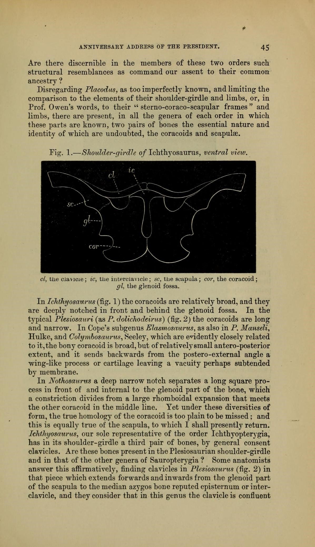 The Bone Wars: When Competition Led to Sloppy Science (image credits: By Geological Society of London, Public domain, https://commons.wikimedia.org/w/index.php?curid=42663563)
