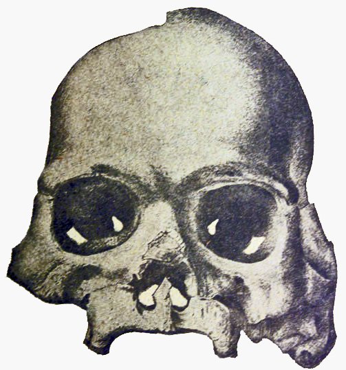 The Calaveras Skull: A Mining Town's Practical Joke (image credits: By William Henry Holmes, Public domain, https://commons.wikimedia.org/w/index.php?curid=18480892)