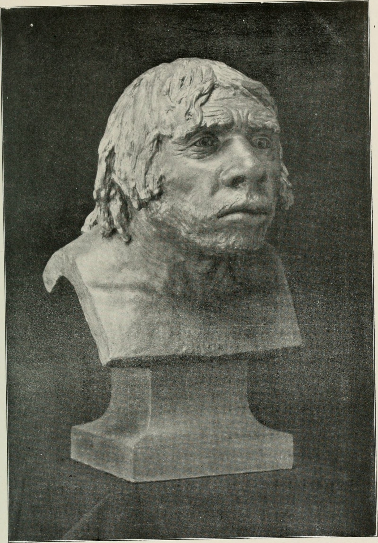 Boule's Neanderthal: The Ape-Man Who Wasn't (image credits: wikimedia)