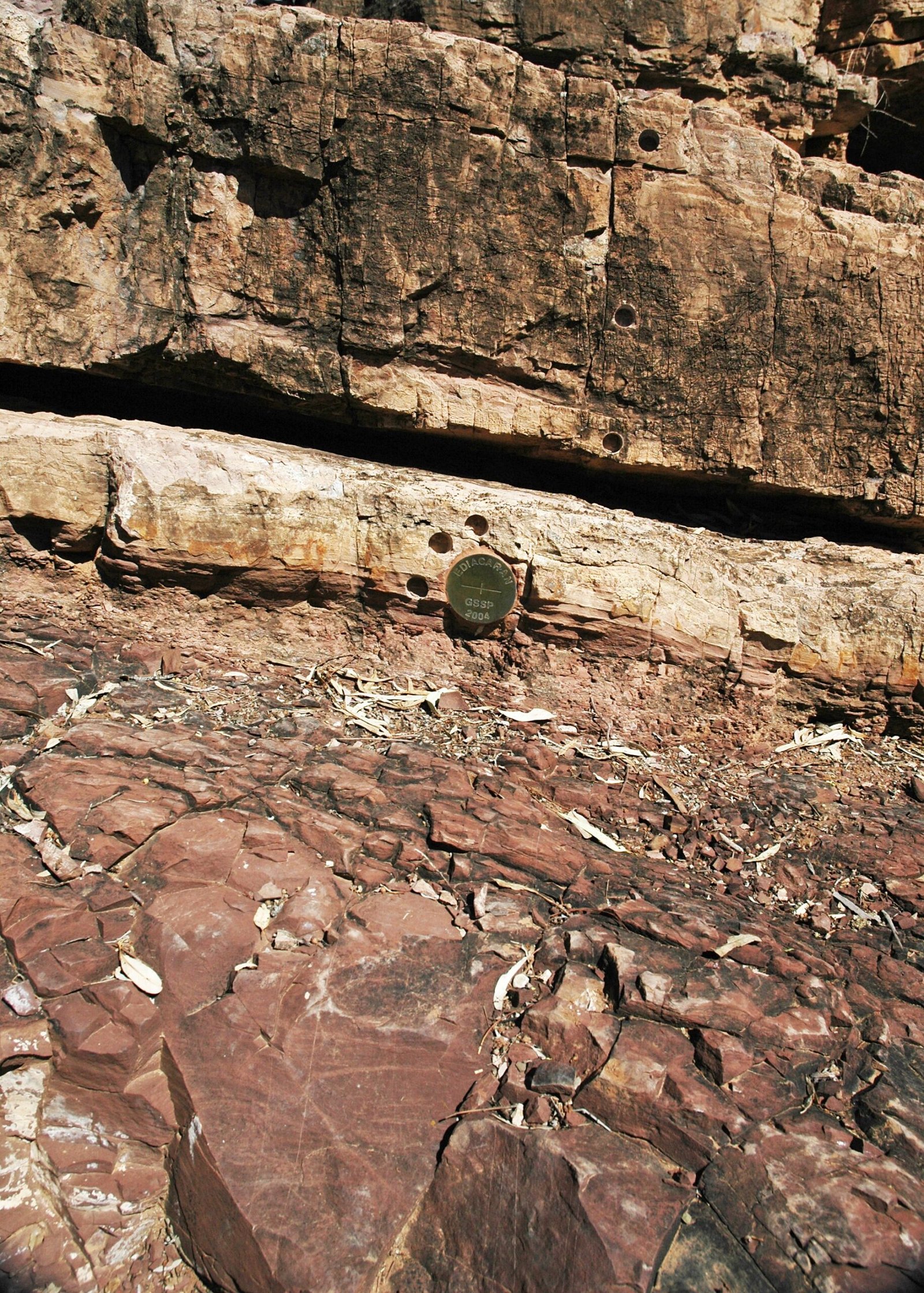 When Mistakes Become Stepping Stones (image credits: wikimedia)