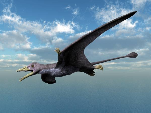 The Great Evolutionary Trade-Off (image credits: By Nobu Tamura email:nobu.tamura@yahoo.com http://spinops.blogspot.com/ http://paleoexhibit.blogspot.com/, CC BY-SA 4.0, https://commons.wikimedia.org/w/index.php?curid=49330611)