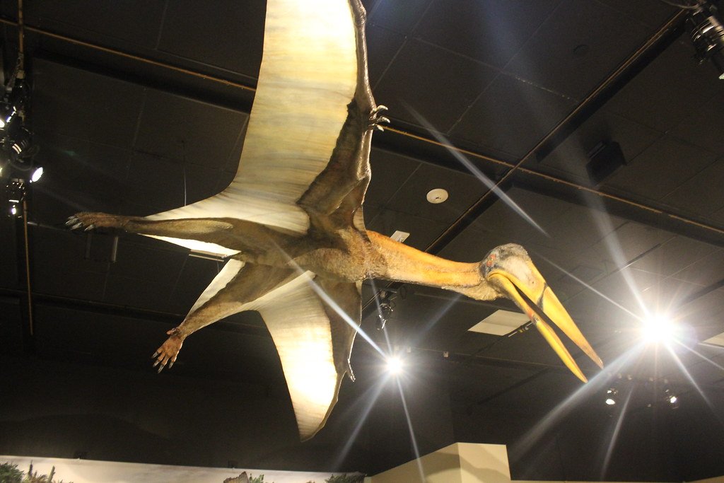 Evolutionary Experiments Gone Wrong (image credits: flickr)