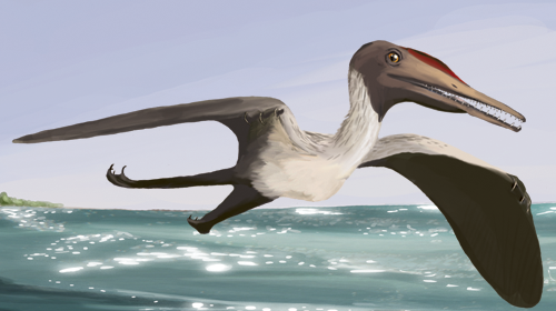 Evolutionary Pressure and Competition (image credits: By Matthew P. Martyniuk, CC BY-SA 4.0, https://commons.wikimedia.org/w/index.php?curid=36407499)