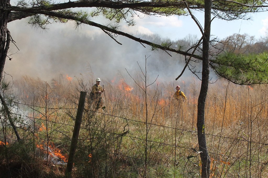 Timing Is Everything: The Race to Burned Resources (image credits: flickr)