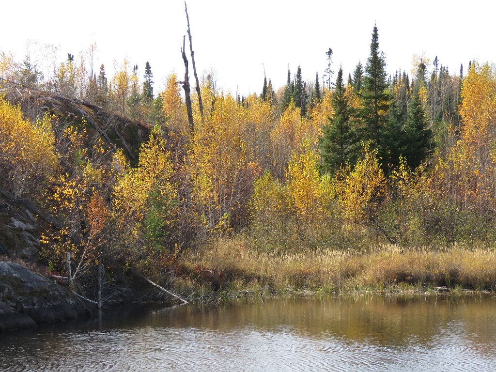 Water and Fire: The Unexpected Connection (image credits: flickr)