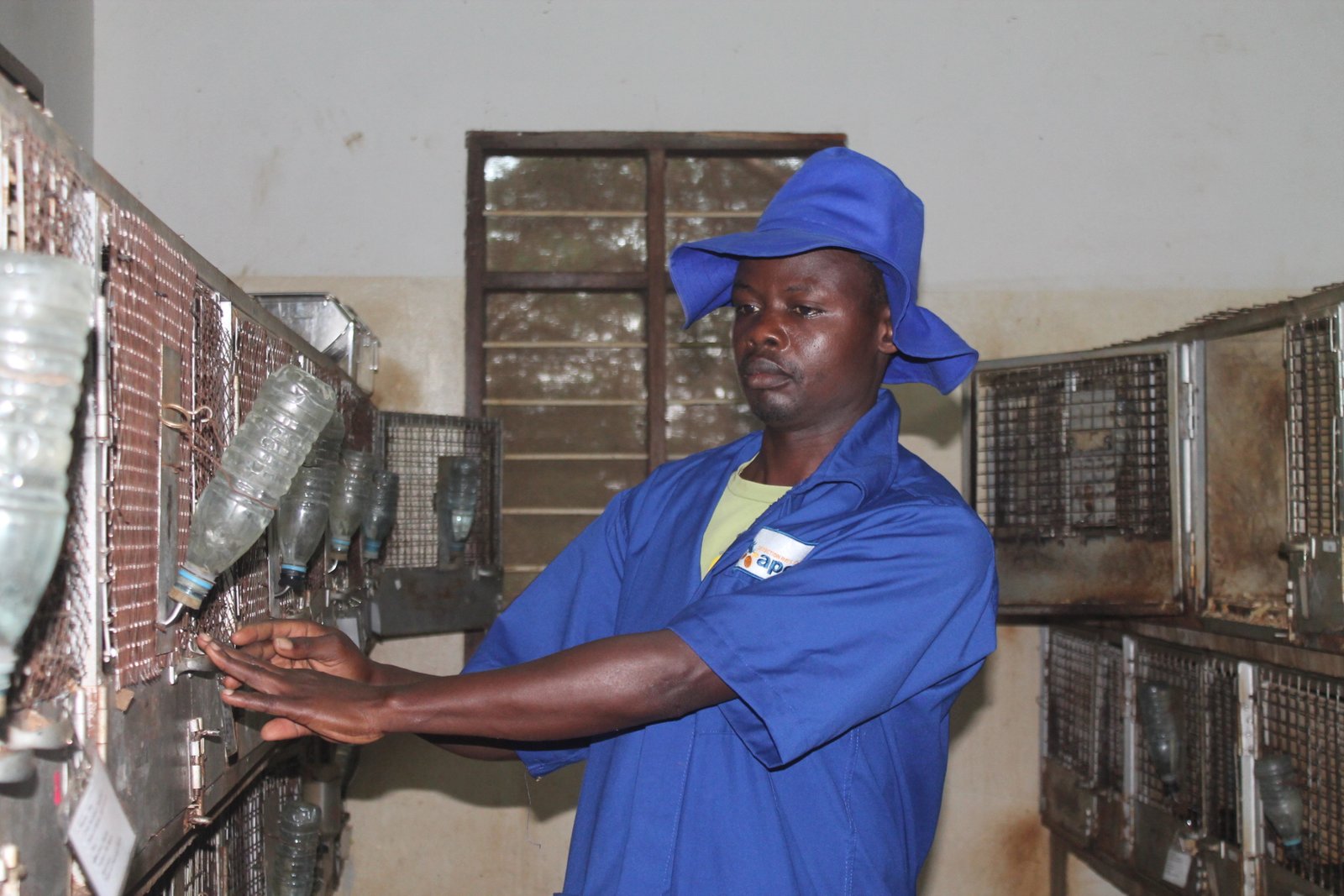 Record-Breaking Achievements (image credits: wikimedia)