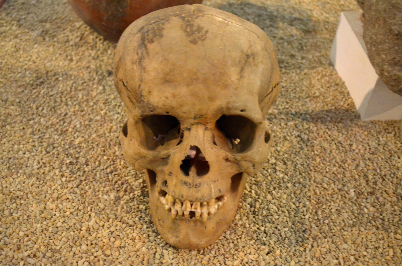 Spiritual and Ritualistic Motivations (image credits: wikimedia)