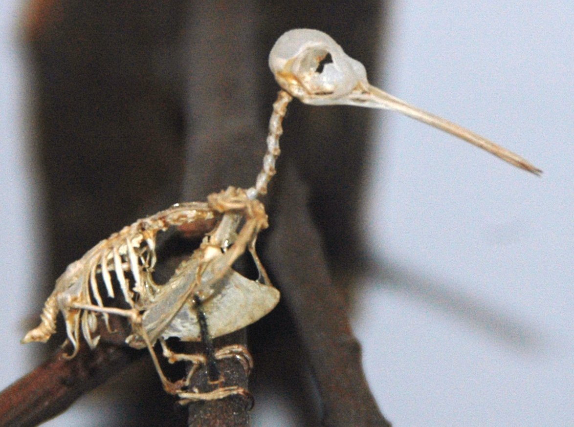 Ancient Color Palettes Hidden in Stone (image credits: wikimedia)