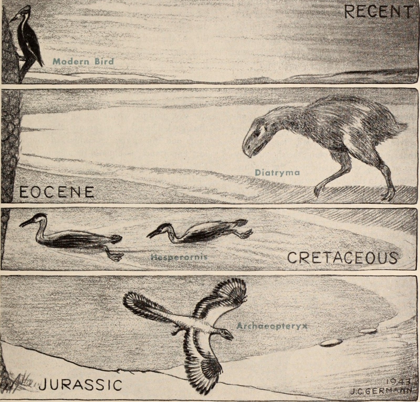 Future Discoveries and Research Directions (image credits: wikimedia)