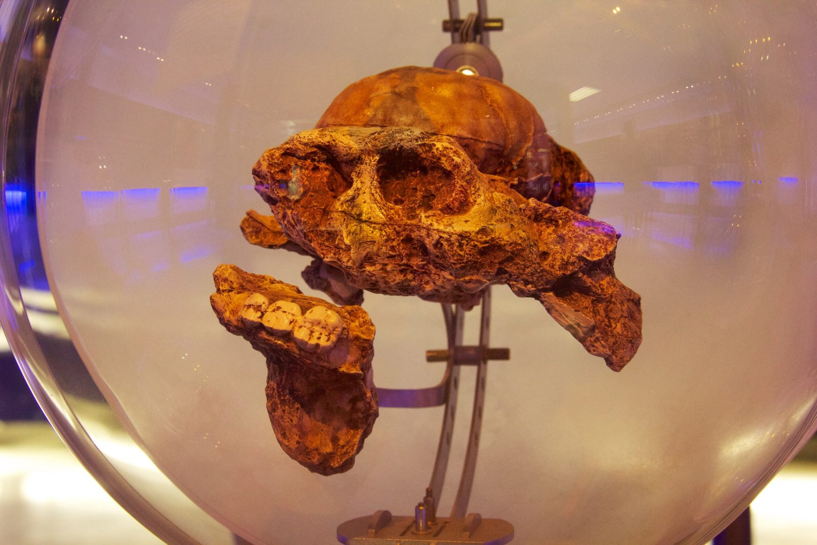 Dating Methods That Revealed Ancient Timelines (image credits: By Photograph by Mike Peel (www.mikepeel.net)., CC BY-SA 4.0, https://commons.wikimedia.org/w/index.php?curid=30682954)