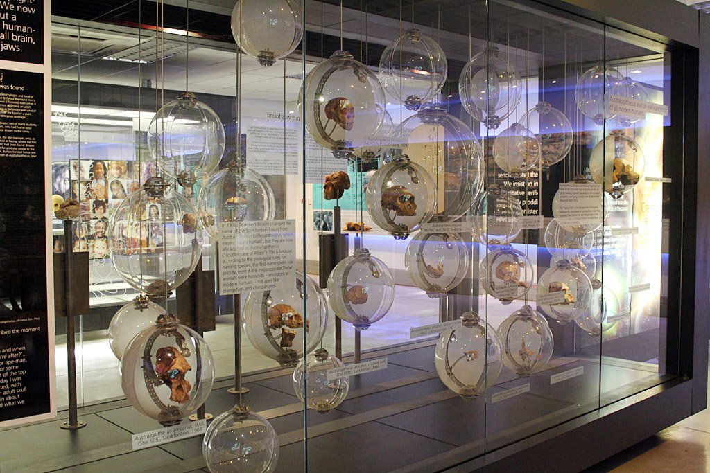 Climate Change and Human Evolution (image credits: flickr)