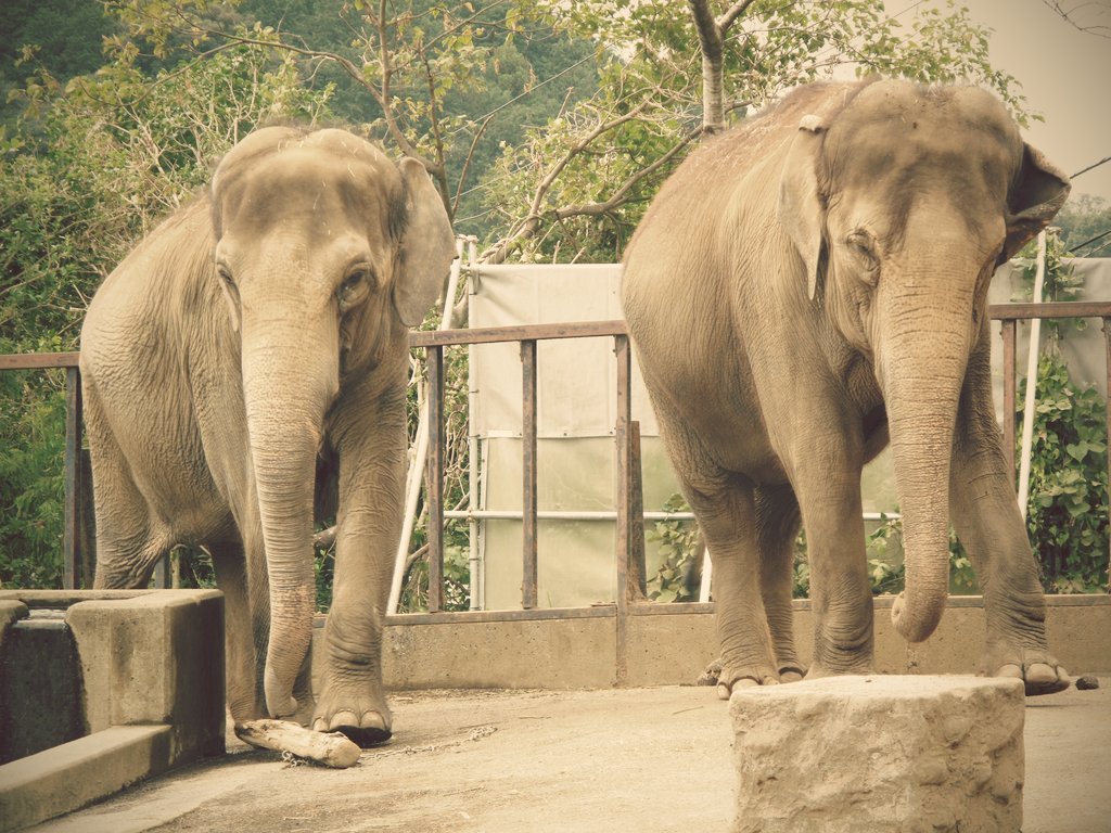 Lessons for Human Connection with Nature (image credits: flickr)