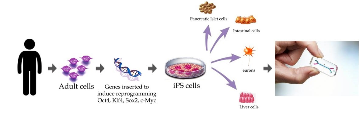 The Scientific Alternative Revolution (image credits: wikimedia)
