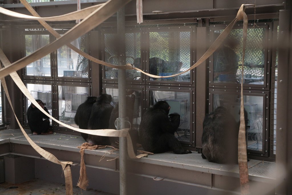 Lessons for Future Research (image credits: flickr)