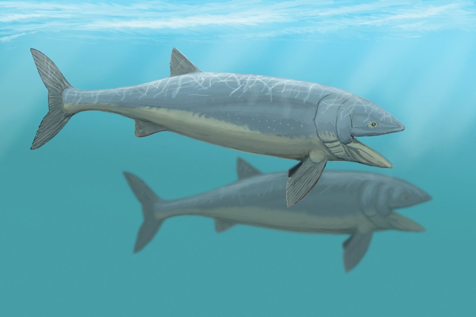 The Thermal Regulator: Leedsichthys and Its Temperature Control (image credits: wikimedia)