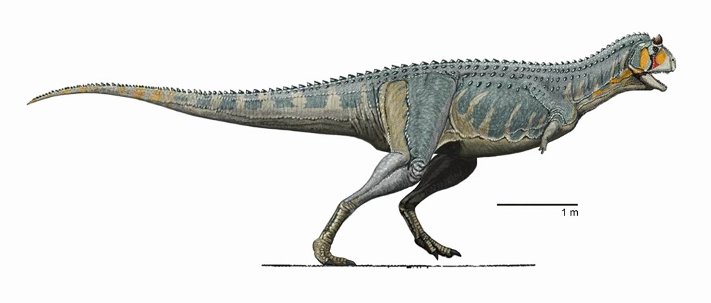 The Temporal Perceiver: Carnotaurus and Its Time-Slowing Vision (image credits: wikimedia)