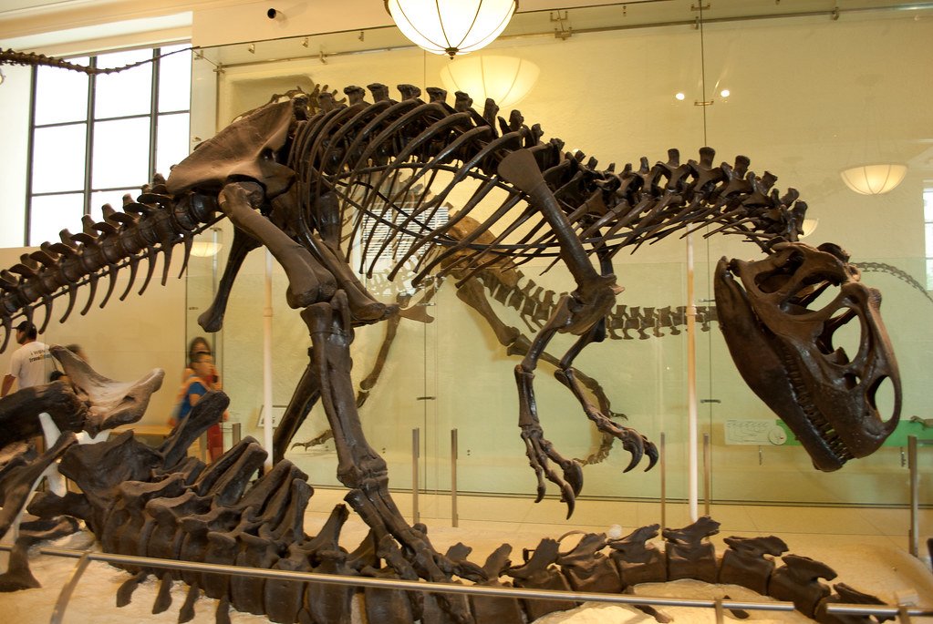 Conclusion: The Legacy of Prehistoric Superpowers (image credits: flickr)