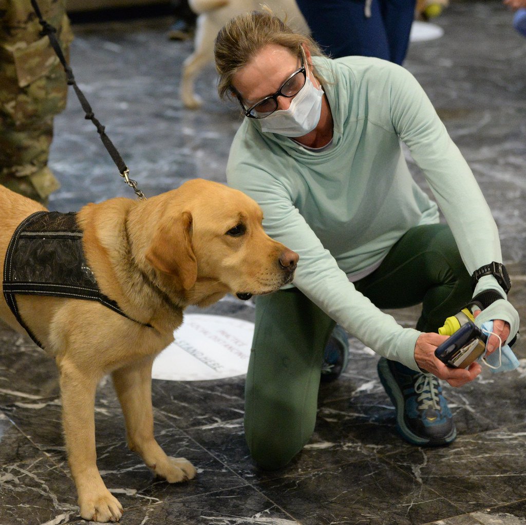 Ethical Considerations in Animal-Based Medical Detection (image credits: flickr)