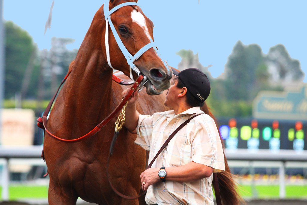 The Thoroughbred Revolution (image credits: flickr)