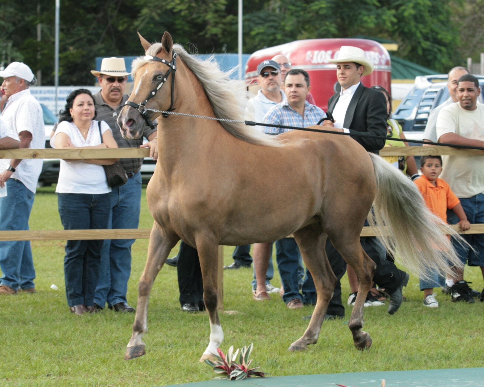 The Genetic Legacy (image credits: By Arsdelicata, CC BY-SA 3.0, https://commons.wikimedia.org/w/index.php?curid=5868992)