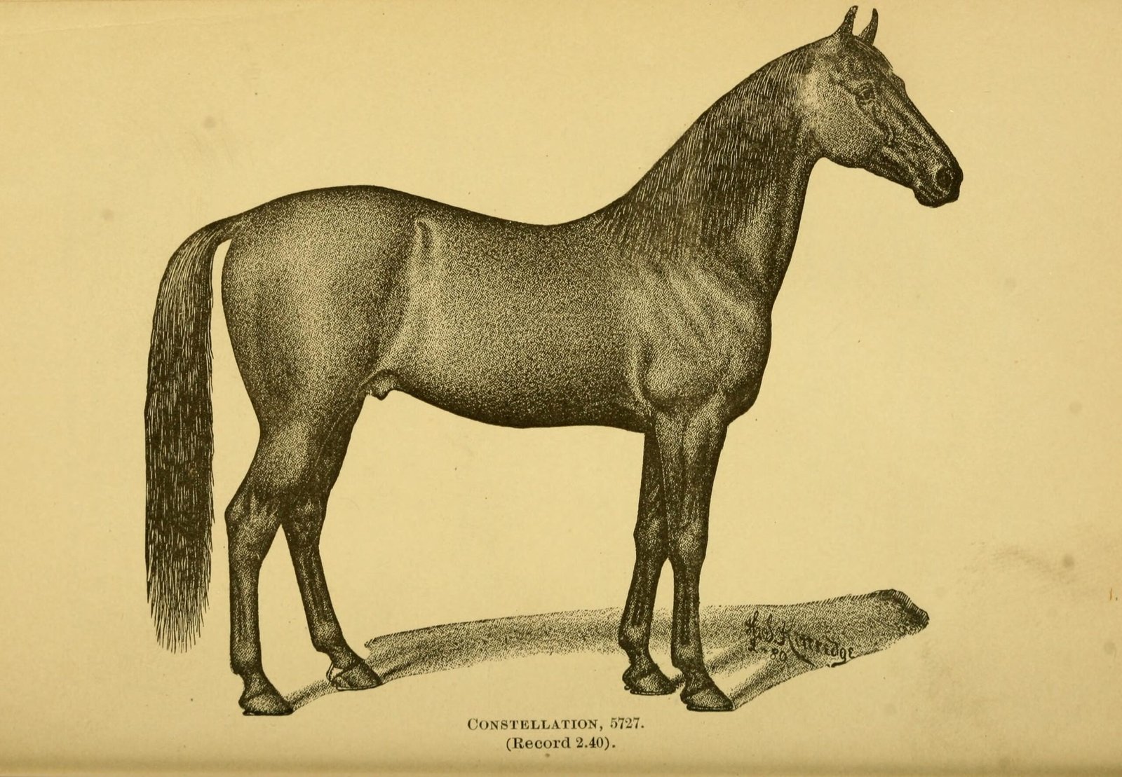 Conclusion (image credits: wikimedia)