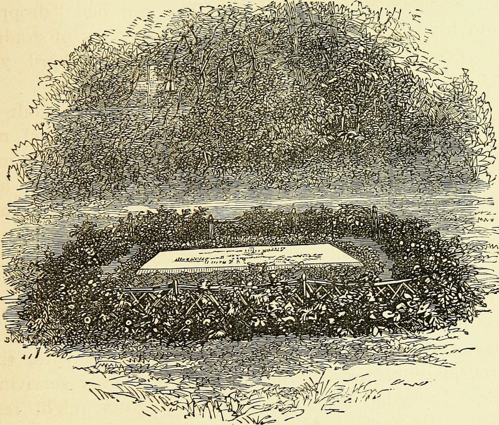 The Discovery That Changed Everything (image credits: By Internet Archive Book Images, No restrictions, https://commons.wikimedia.org/w/index.php?curid=41968640)