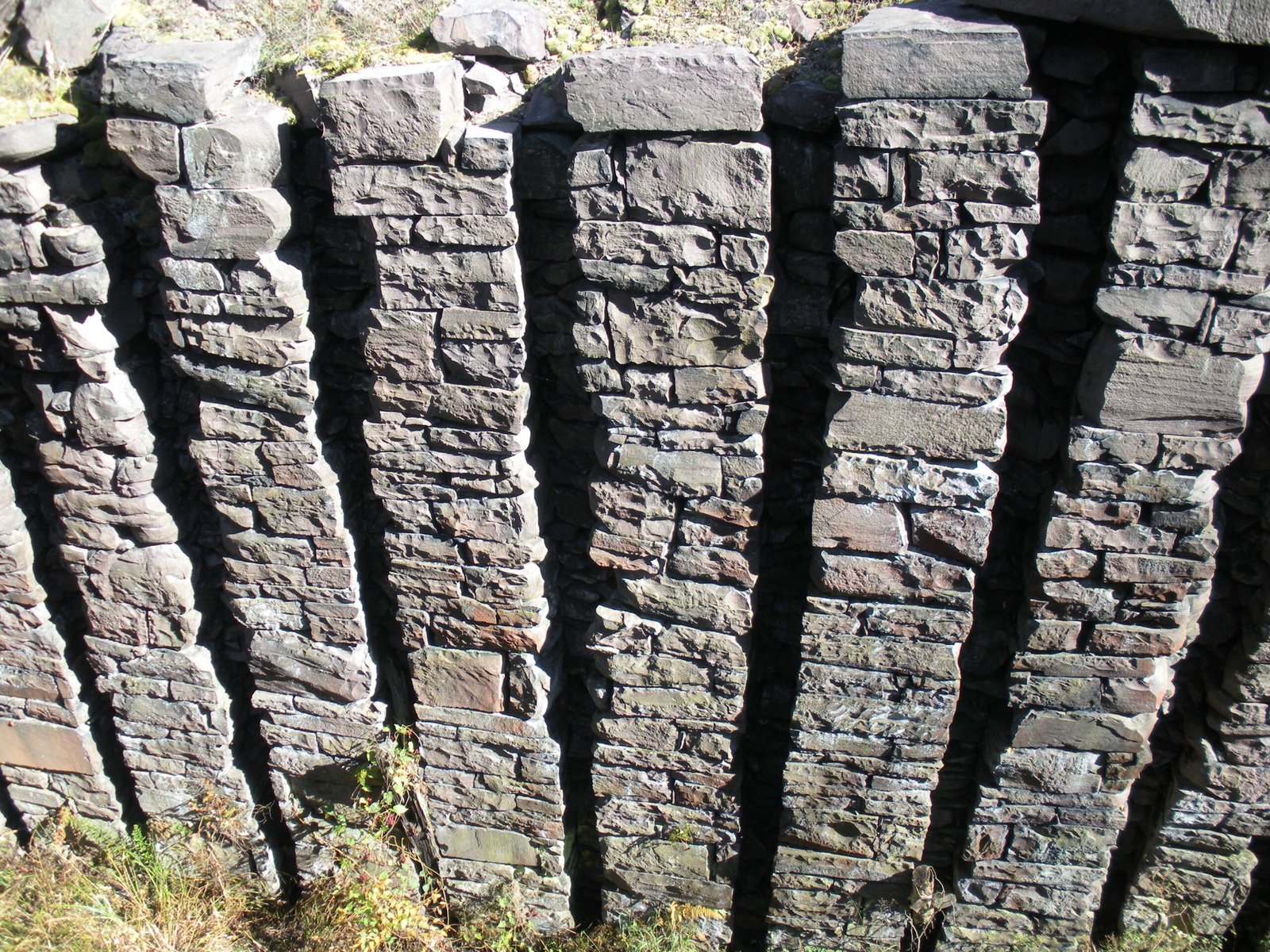 Carbon Dating Dilemmas (image credits: wikimedia)