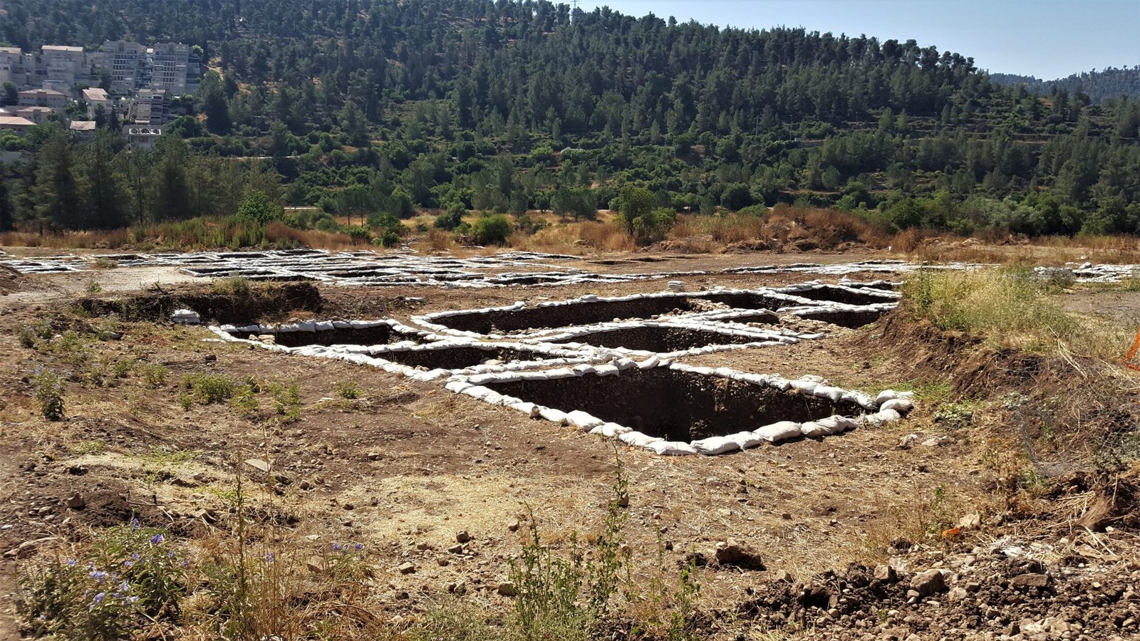 Modern Archaeological Investigations (image credits: wikimedia)