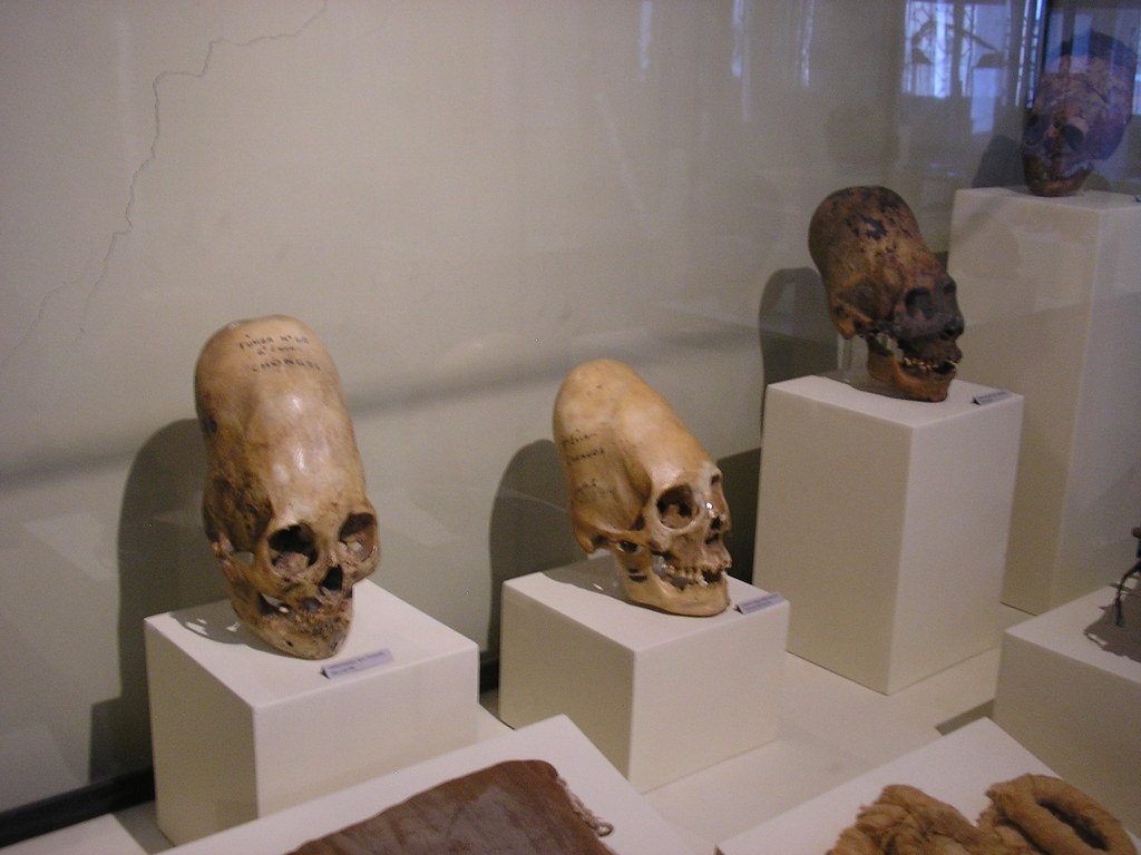 The Genetic Evidence from Ancient Elongated Skulls (image credits: flickr)