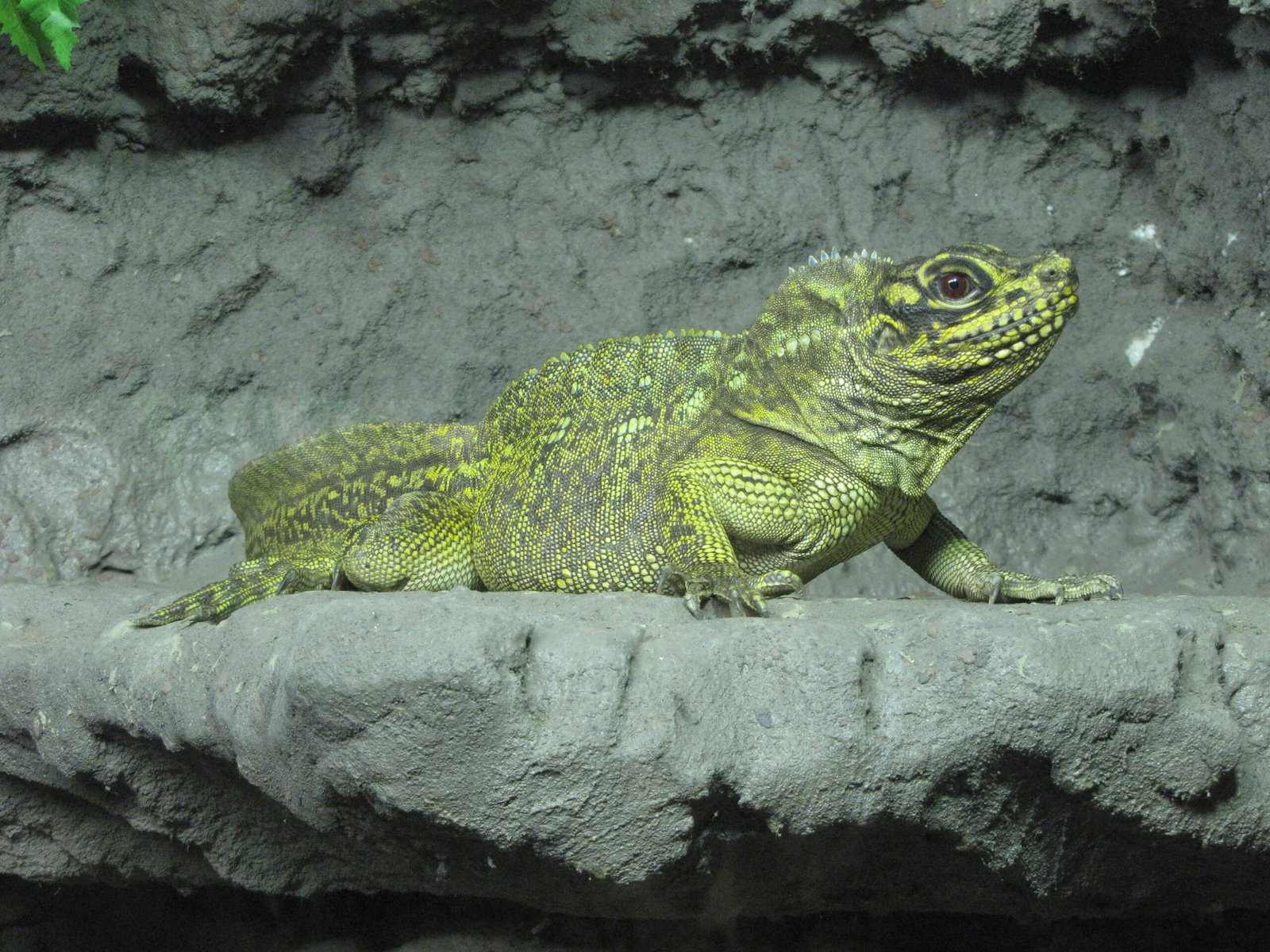 Research Breakthroughs and Scientific Discoveries (image credits: wikimedia)
