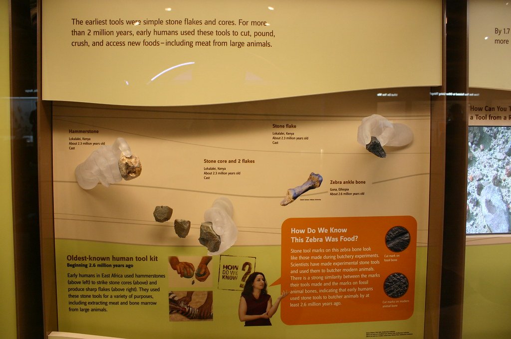 Tool Technology Evolution (image credits: flickr)