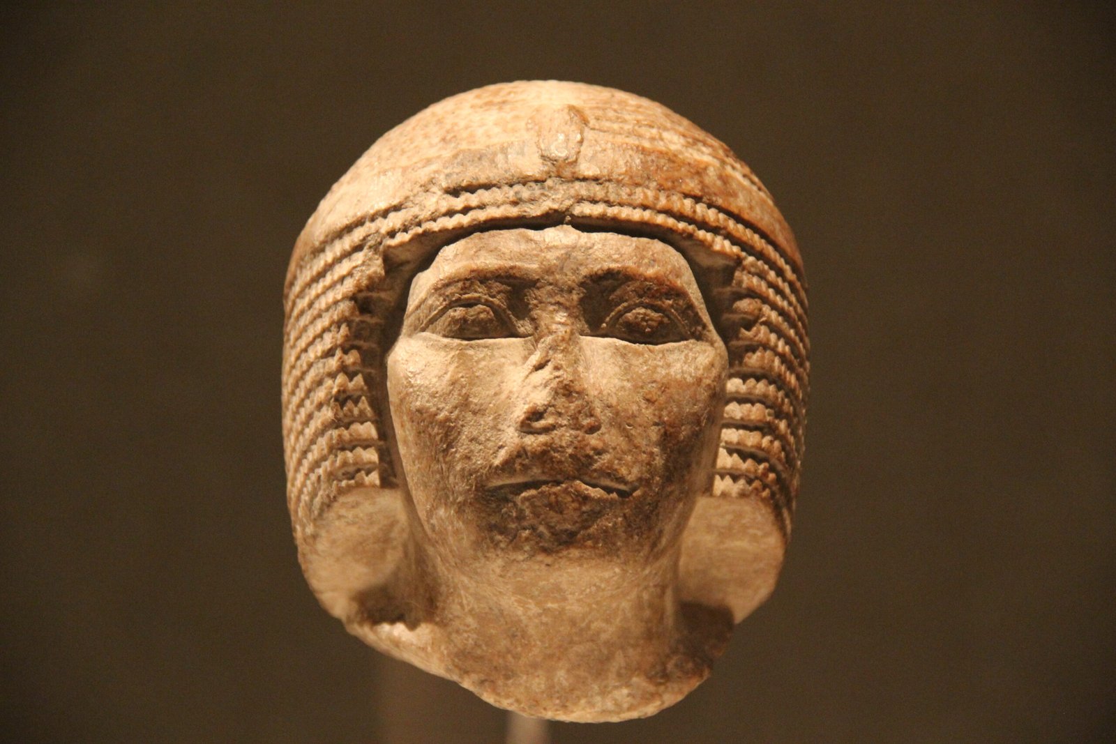 Impact on Modern Understanding (image credits: wikimedia)
