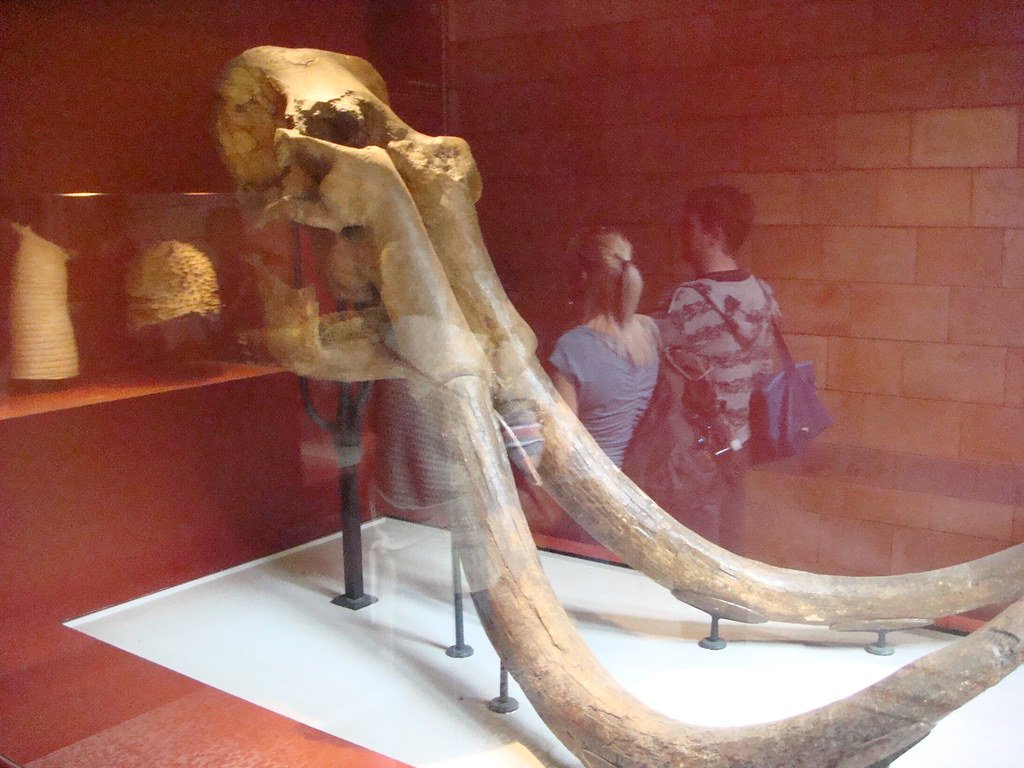 Conclusion: When Myth Meets Science (image credits: flickr)