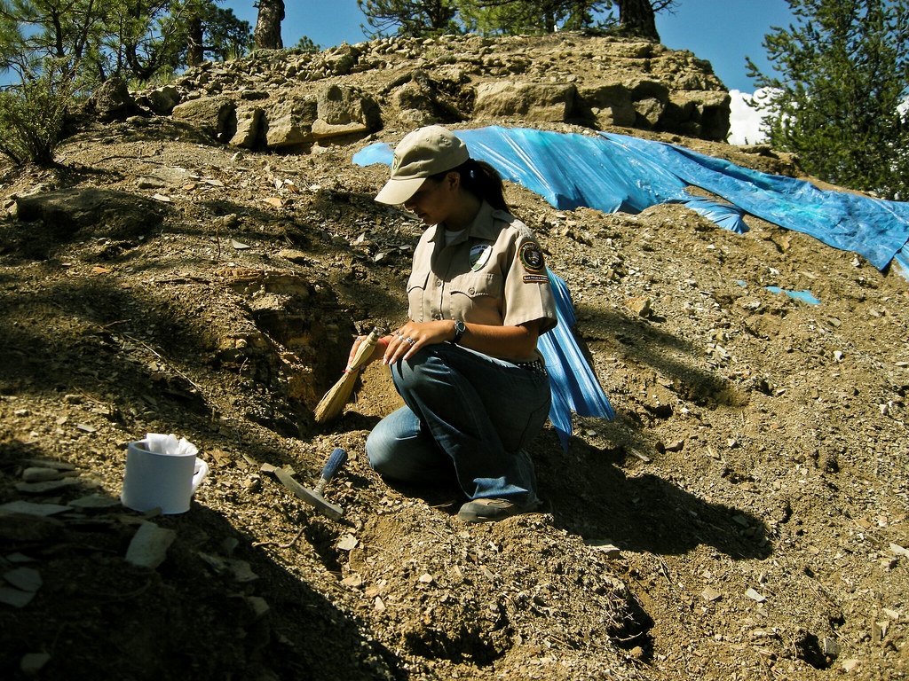 Fossil Evidence and Scientific Discoveries (image credits: flickr)