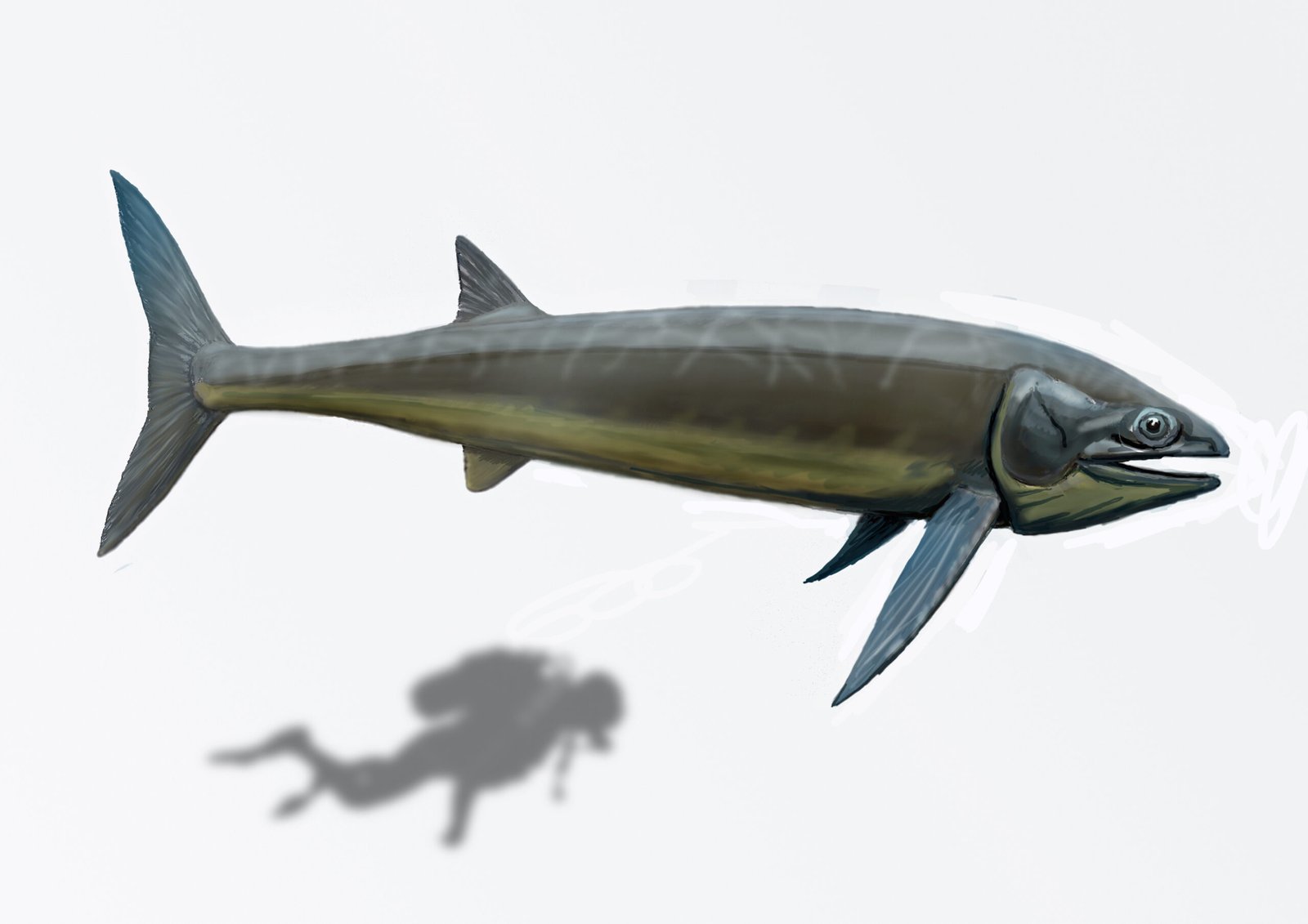 The Geography of Ancient Giant Fish (image credits: By DiBgd, CC BY-SA 4.0, https://commons.wikimedia.org/w/index.php?curid=42226537)