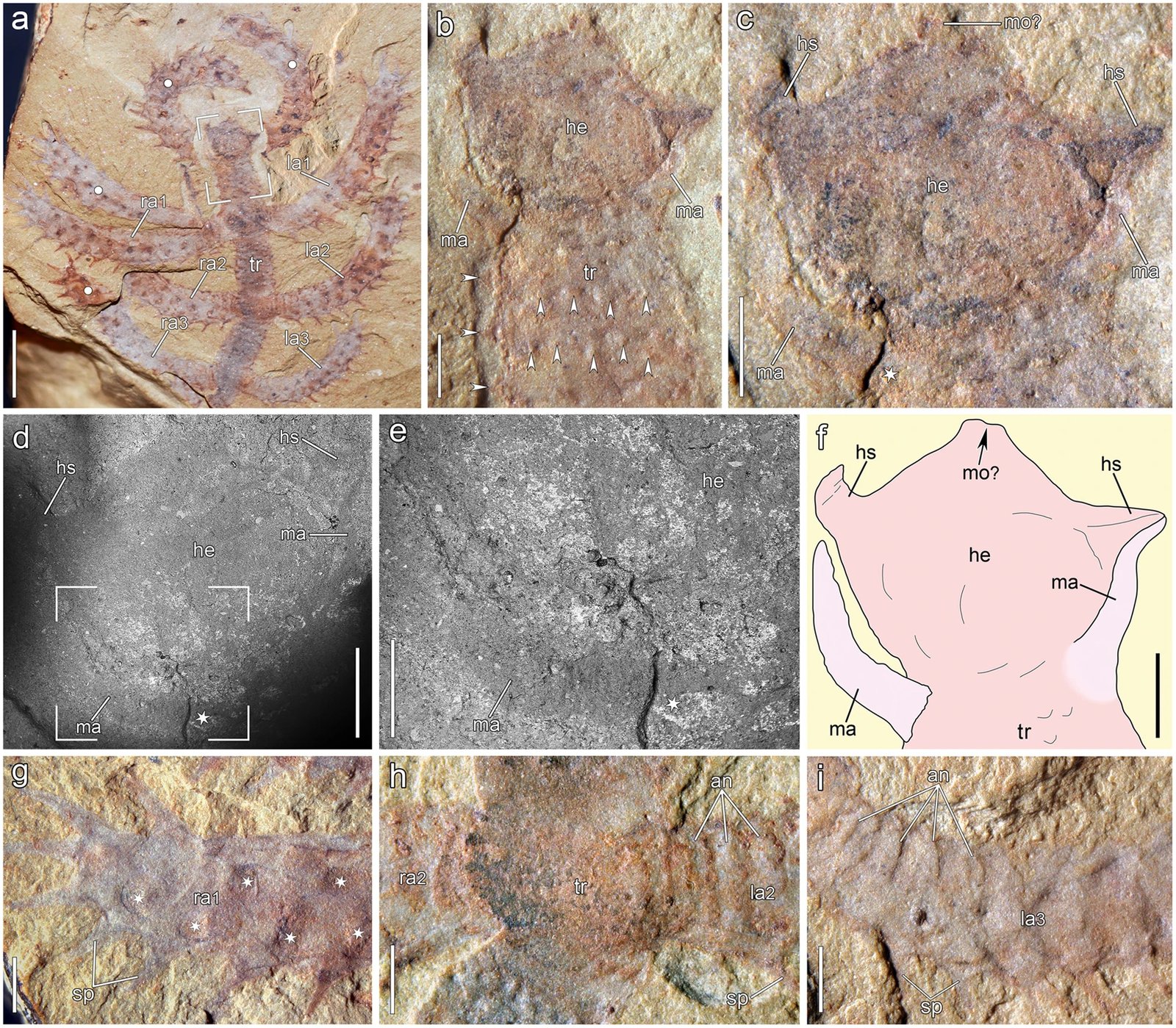 Technological Advances Transform the Field (image credits: wikimedia)