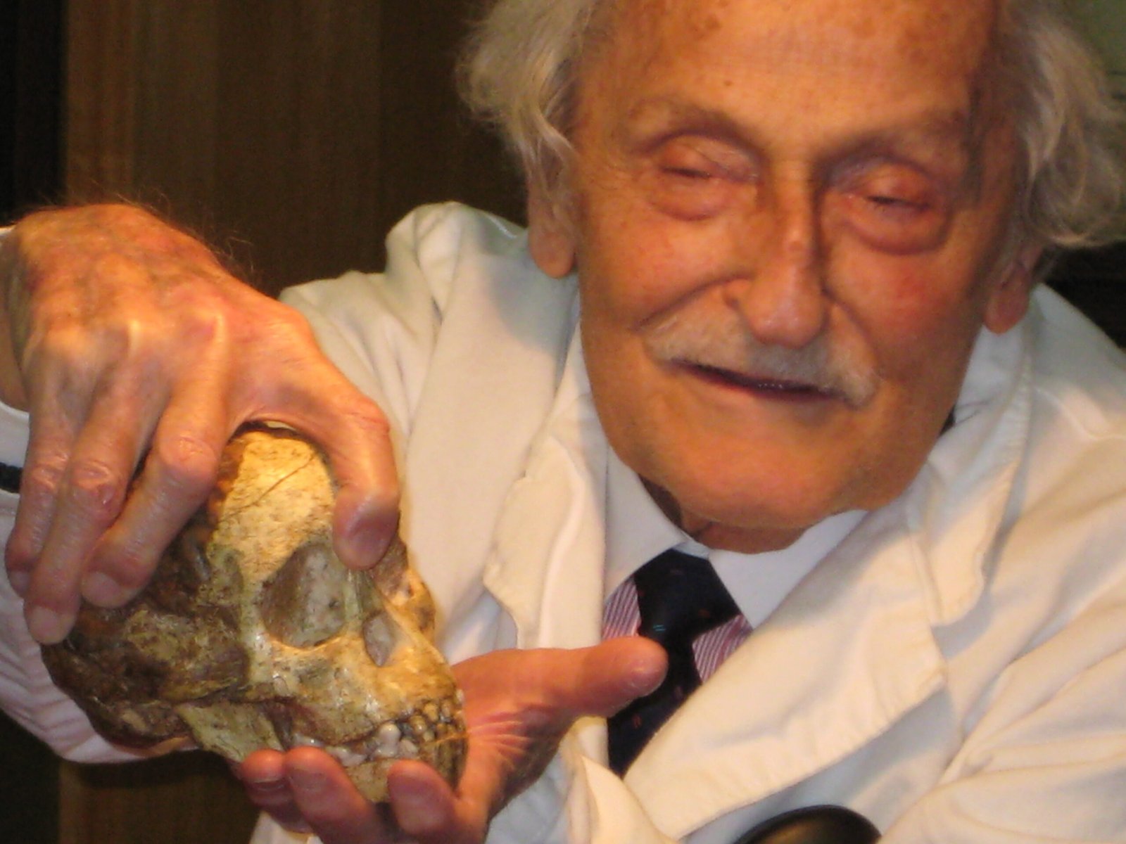 The Continuing Legacy (image credits: Own work (Original text: self-made), Public domain, https://commons.wikimedia.org/w/index.php?curid=28280773)