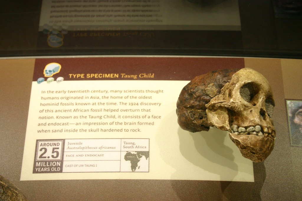 Conclusion (image credits: flickr)